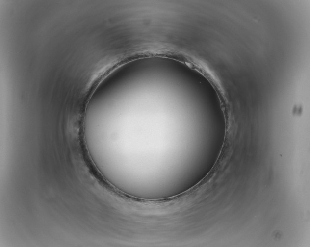 X0000091670010200709061052