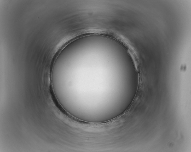 X0000091670011200709061052