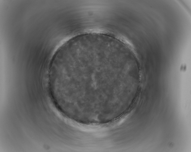 X0000091670012200709061052