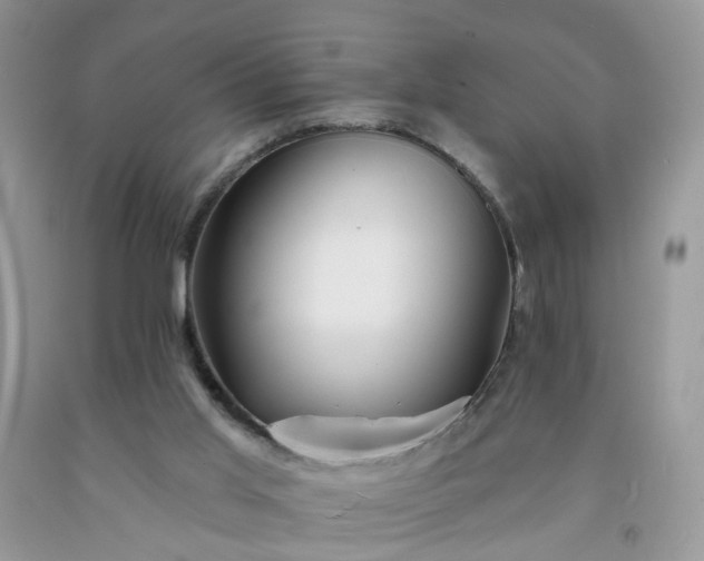 X0000091670013200709061052