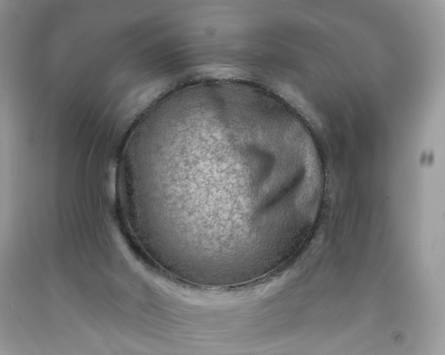 X0000091670014200709061052