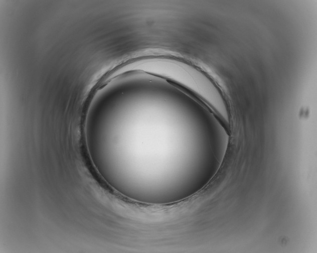 X0000091670015200709061052