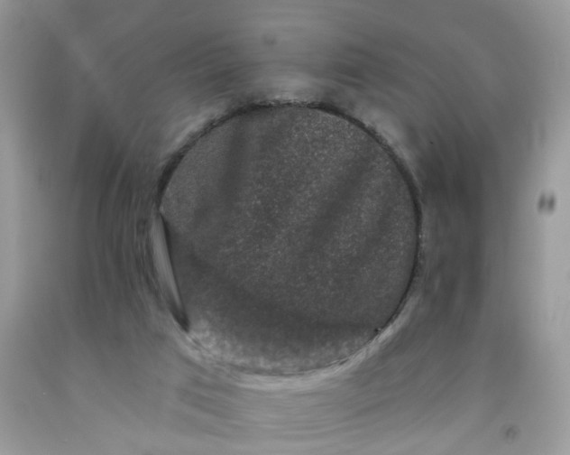 X0000091670017200709061052