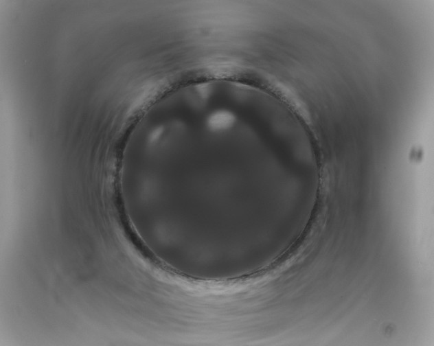 X0000091670018200709061052