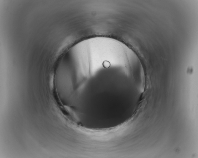 X0000091670019200709061052