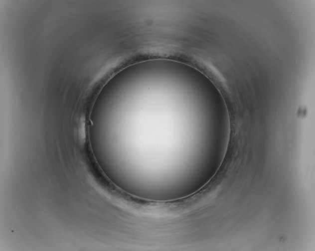 X0000091670020200709061052