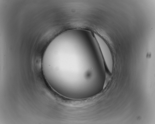 X0000091670021200709061052