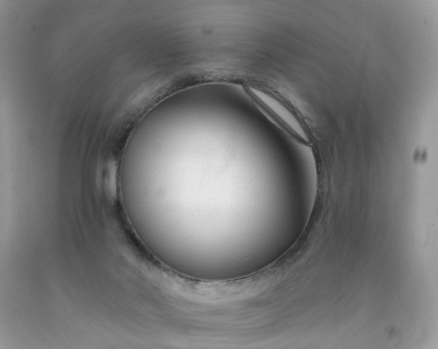 X0000091670022200709061052