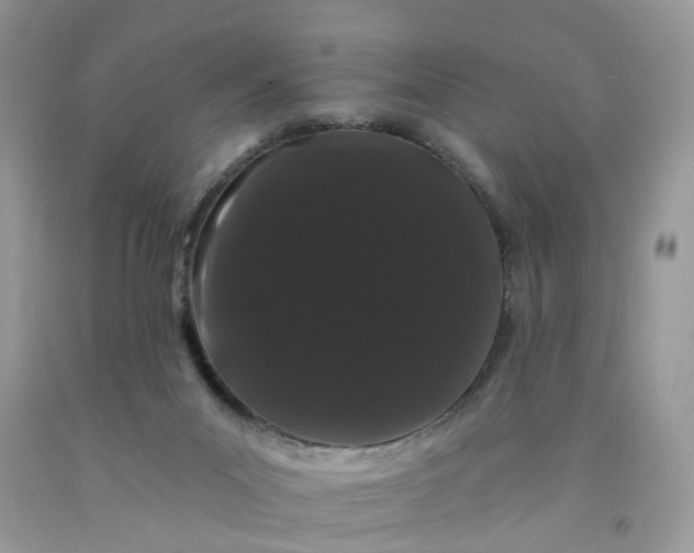 X0000091670023200709061052