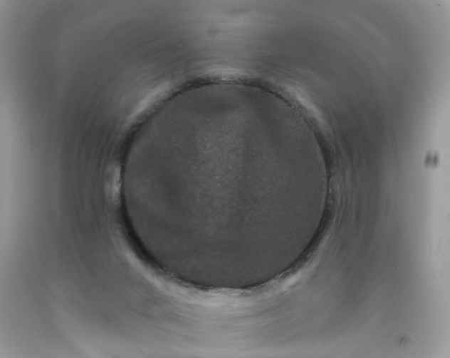 X0000091670024200709061052
