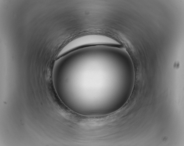 X0000091670025200709061052