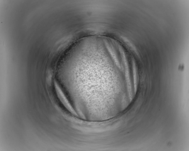 X0000091670026200709061052