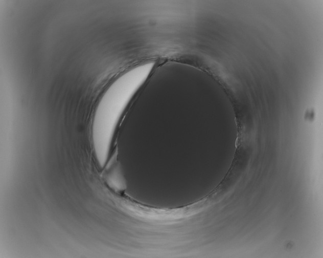 X0000091670027200709061052