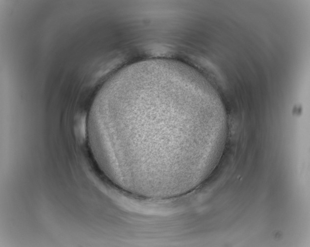 X0000091670028200709061052