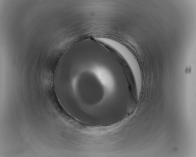 X0000091670029200709061052