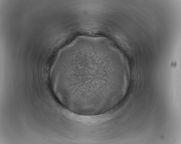 X0000091670030200709061052