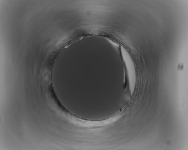 X0000091670031200709061052