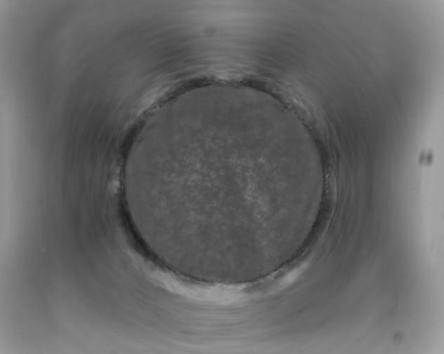 X0000091670032200709061052