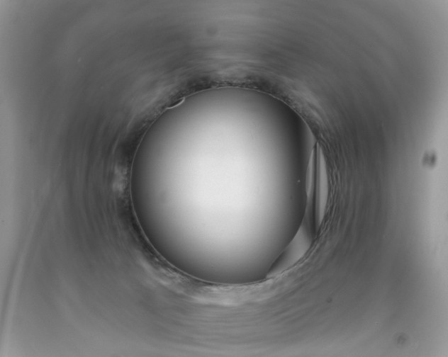 X0000091670033200709061052