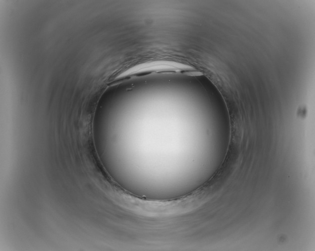 X0000091670034200709061052