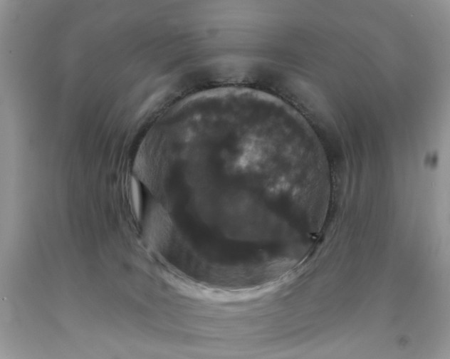 X0000091670035200709061052