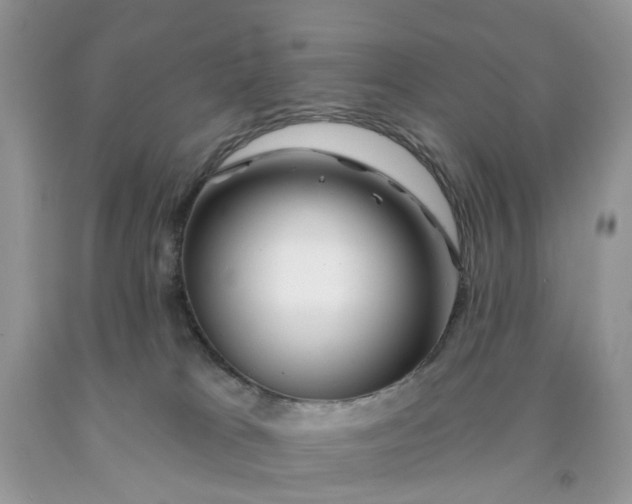 X0000091670037200709061052