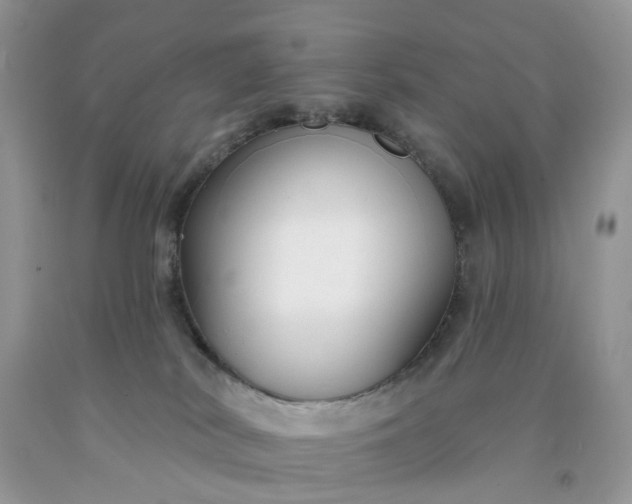 X0000091670038200709061052