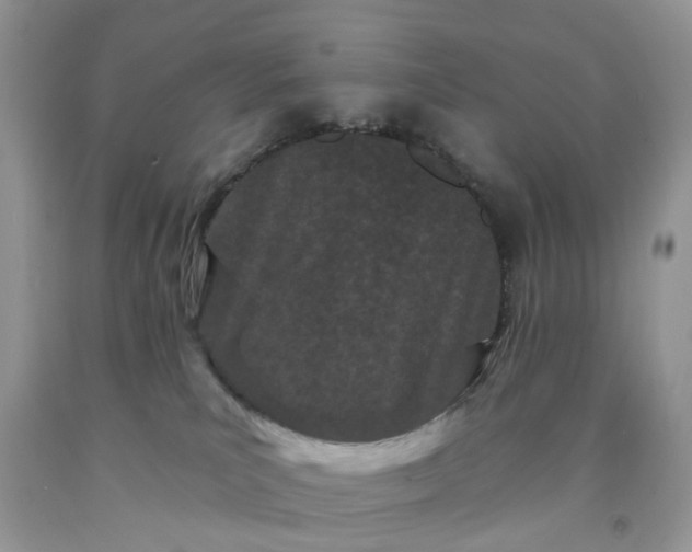 X0000091670039200709061052