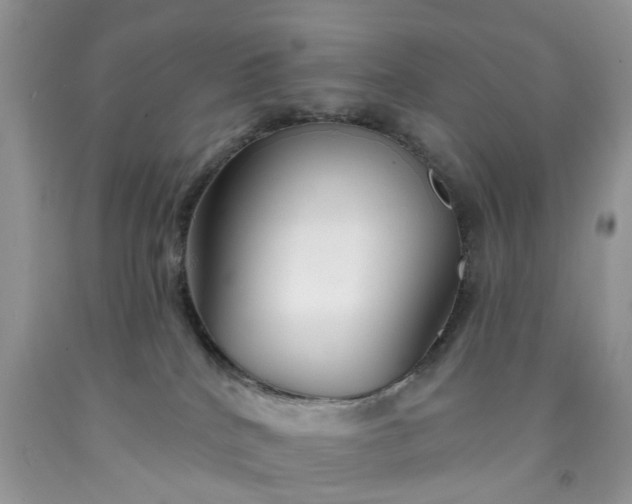 X0000091670040200709061052