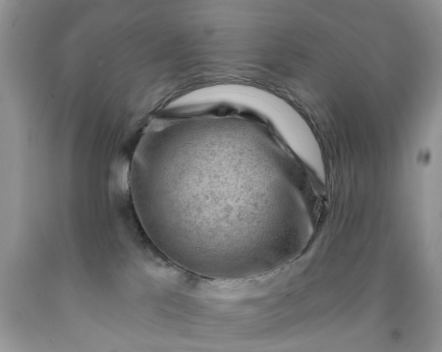 X0000091670041200709061052