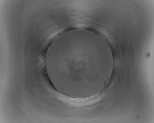 X0000091670043200709061052