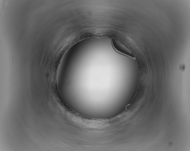 X0000091670044200709061052