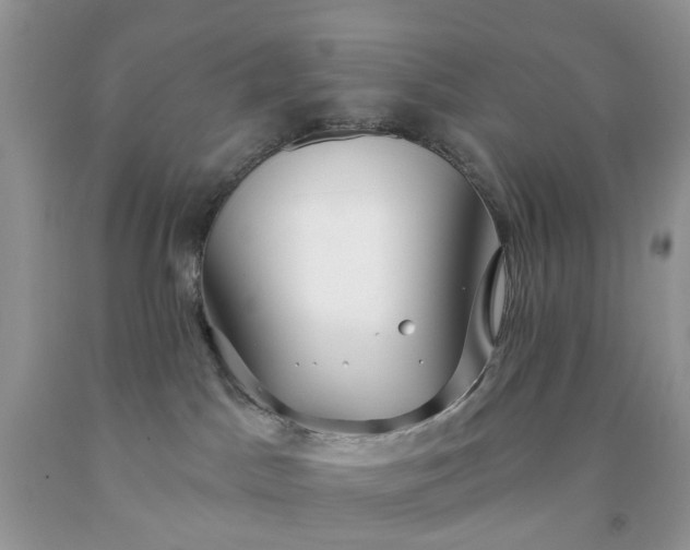 X0000091670045200709061052