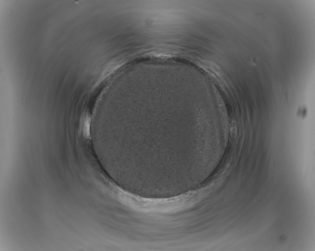 X0000091670046200709061052