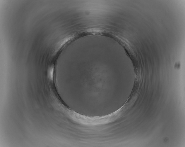 X0000091670047200709061052