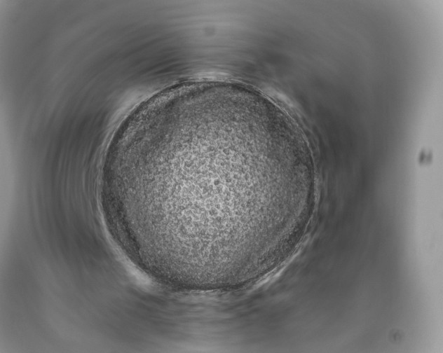 X0000091670049200709061051