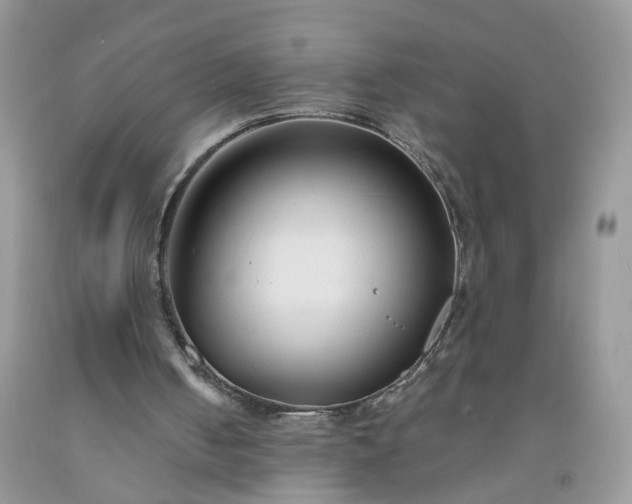 X0000091670050200709061051