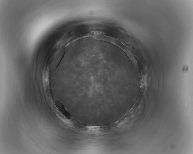 X0000091670052200709061051