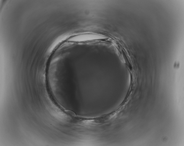 X0000091670054200709061051