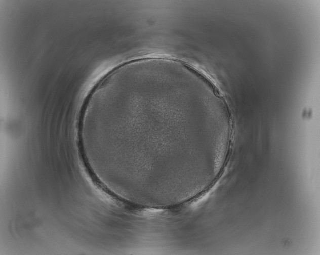 X0000091670055200709061051