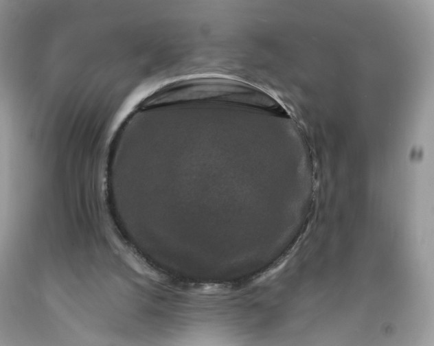 X0000091670056200709061051