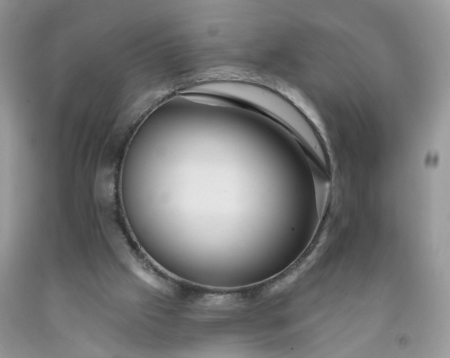 X0000091670057200709061051