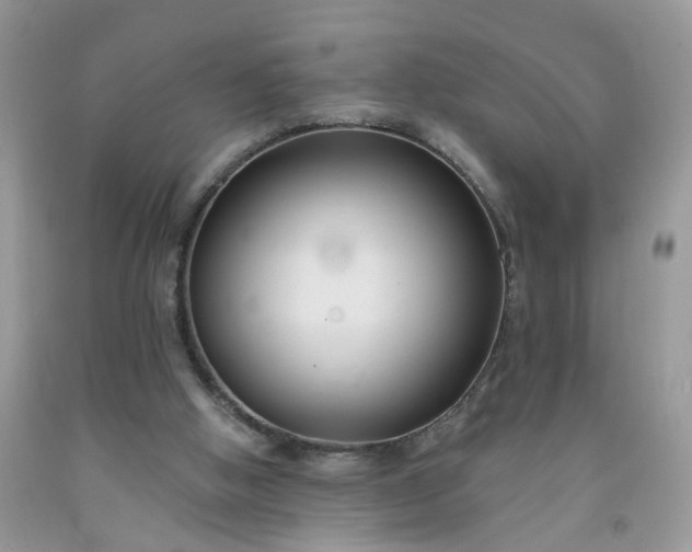X0000091670058200709061051