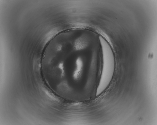 X0000091670059200709061051