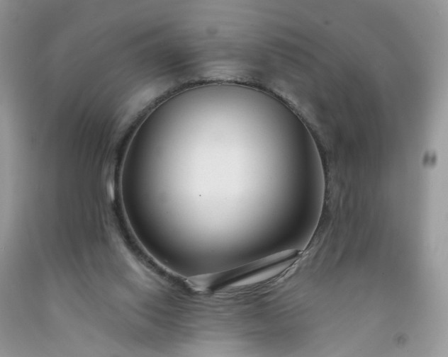 X0000091670062200709061051