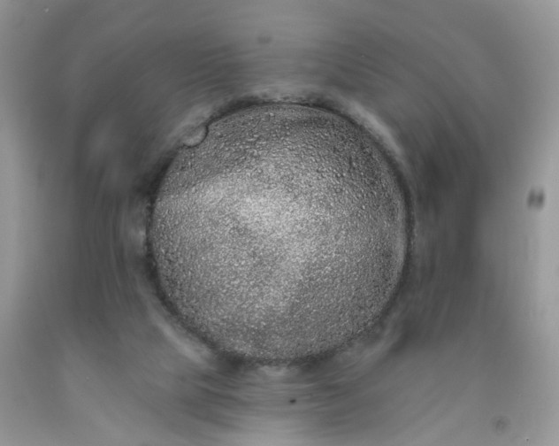 X0000091670065200709061051