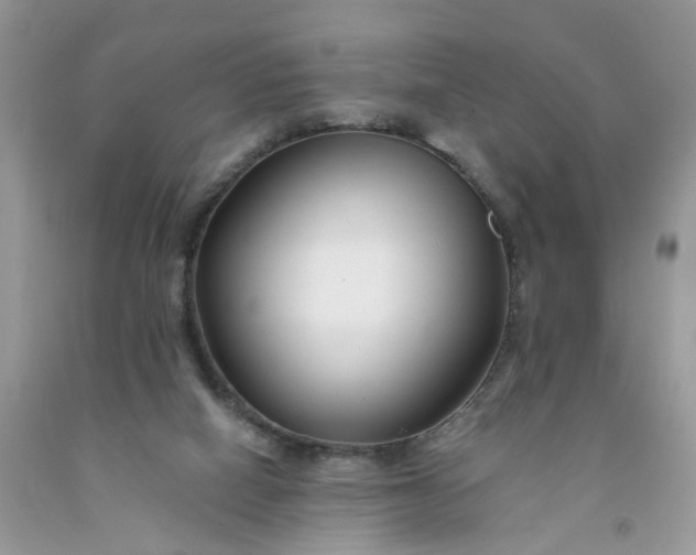 X0000091670066200709061051