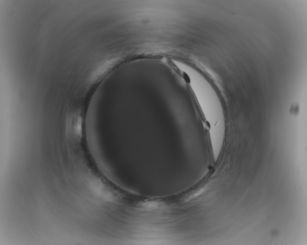 X0000091670067200709061051