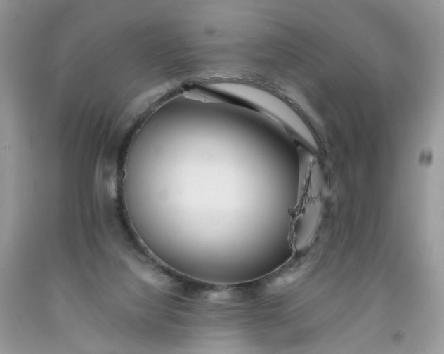 X0000091670068200709061051