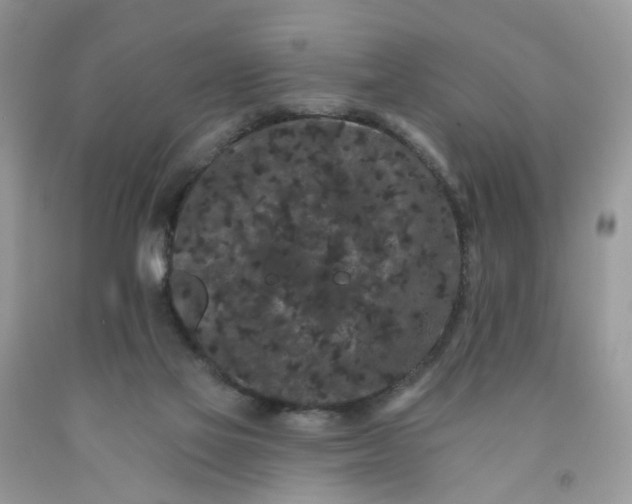 X0000091670069200709061051